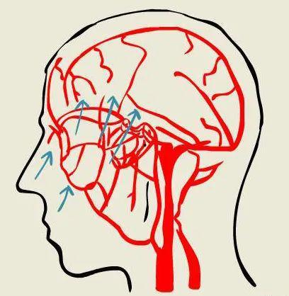 吃瓜君剪影,一场关于瓜界风云的剪影之旅