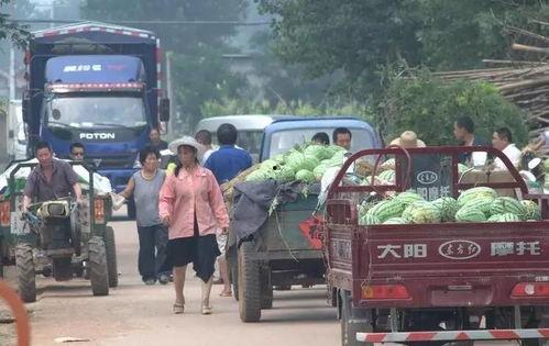 寿县吃瓜群众事迹,见证时代变迁的民间传奇