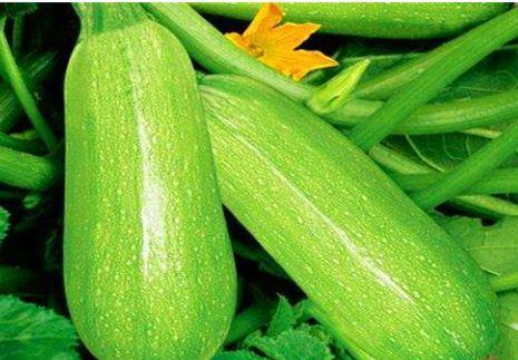 月子茭瓜可以吃吗,月子期间适宜食用的月子茭瓜营养解析