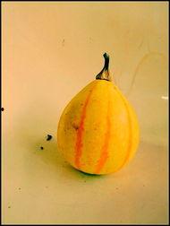 新沂吃瓜视频,揭秘当地特色美食背后的故事