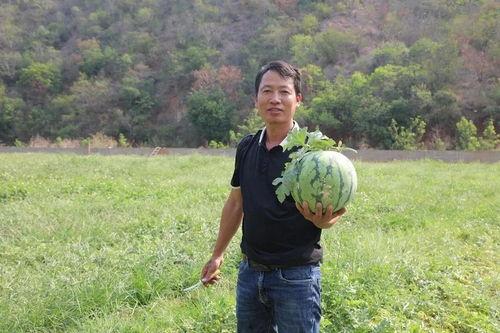 梁昆最新吃瓜,揭秘娱乐圈幕后真相