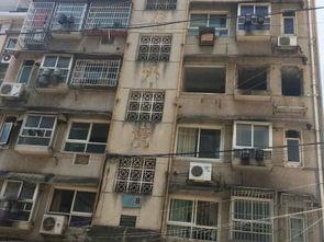 小区对面楼吃瓜,邻里间的趣味观察