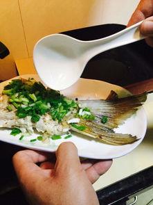 鱼尾吃瓜,揭秘海洋生物的趣味食性