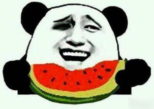 大叔吃瓜吃到自己,意外成为瓜中瓜主