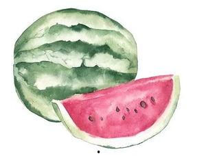 请不同人吃瓜,不同人物吃瓜大揭秘