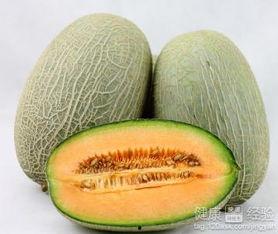 哥斯拉吃哈密瓜,与哈密瓜的奇幻邂逅