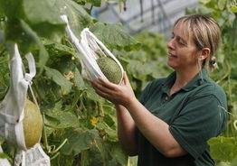 吃瓜村妇图片,揭秘乡村生活的酸甜苦辣