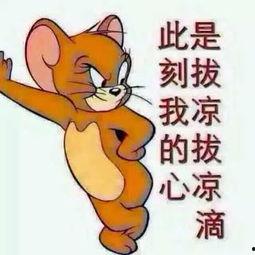 吃瓜群众厂牌图片大全,揭秘各大厂牌图片大全背后的故事