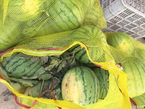 梦见做车吃瓜,车中瓜香，探寻潜意识中的奇幻之旅