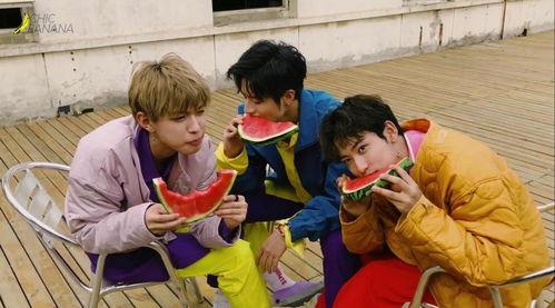 聚众吃瓜七儿子,揭秘网络热点的狂欢与反思