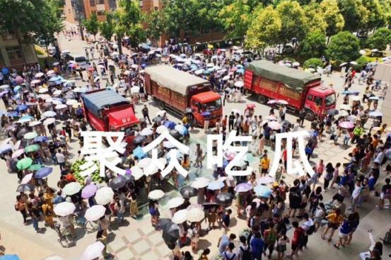 吃瓜学校长凳,校园里的闲话时光