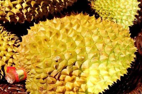 豆瓜壳可以吃吗怎么吃,豆瓜壳的食用方法与安全性解析