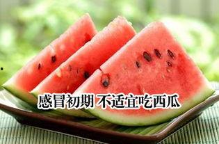 发烧适宜吃瓜吗,吃瓜真的适宜吗？揭秘真相