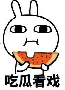 吃瓜晕船,揭秘网络热议背后的真相与反思