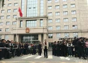 吃瓜法院,揭秘法庭内外那些鲜为人知的趣闻轶事