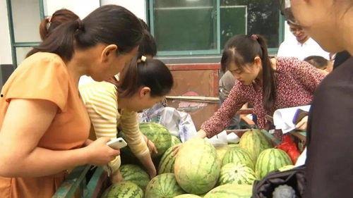 村里面吃瓜视频,揭秘乡村生活趣味瞬间