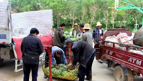 马林吃瓜群众,揭秘娱乐圈幕后风云
