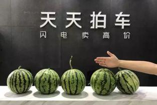 91反差每日吃瓜,每日吃瓜，揭秘娱乐圈幕后风云