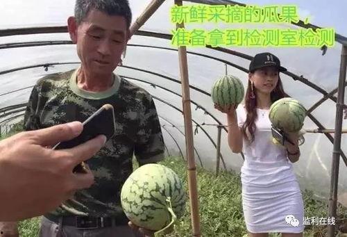 吃瓜群众开直播,吃瓜群众变身网红，揭秘直播界幕后故事